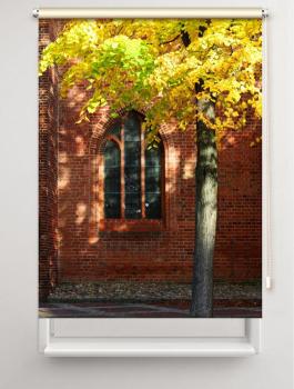 Rollo Herbst in der Stadt - Sichtschutz Extartiqe
